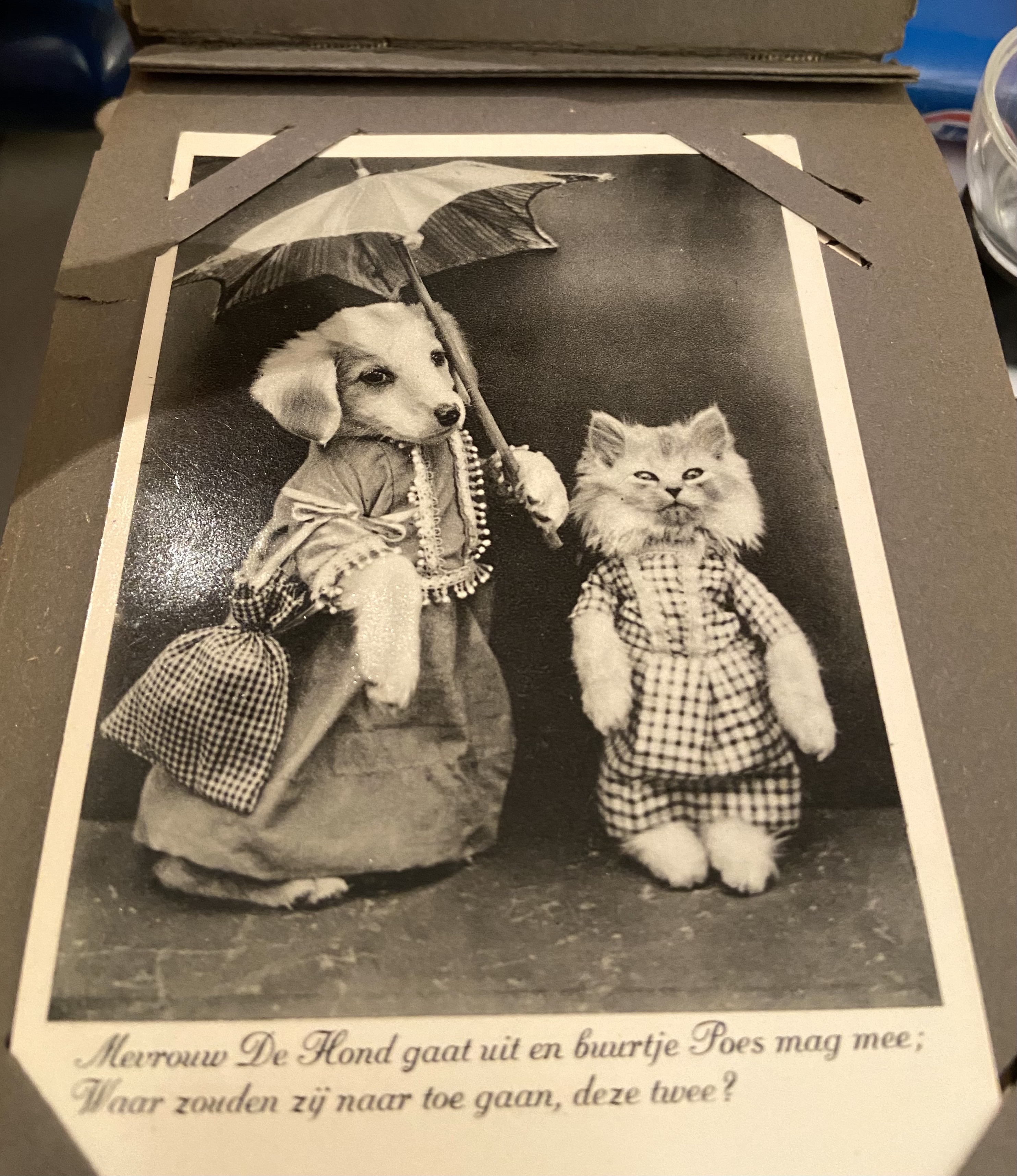 Ansichtkaarten Album gevuld 1930s